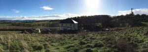 Raglan, Woodland View, Forest Steps,